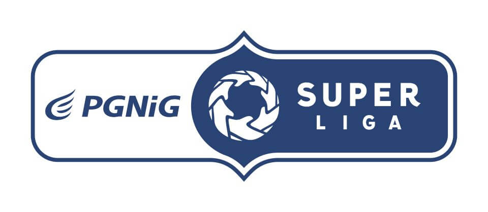 PGNiG Superliga logo